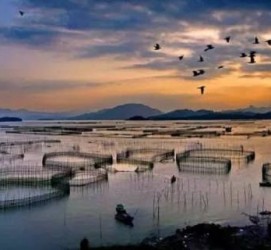 广元伴游中国网景点丰富(旅游网介绍)