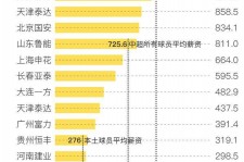 广元关于伴游小丽中国足球的信息