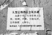 广元珠海伴游雇用网(珠海游览社雇用信息)