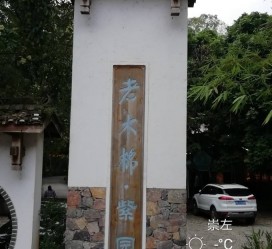 广元关于伴游中国伴游你们伴得是什么游的信息