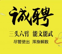 广元私人伴游招聘 一线二线城市招聘大圈中圈小圈女孩商务模特佳丽女模名媛招聘高薪一单一结