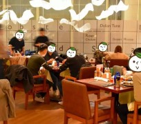 广元上海私人伴游 导游商务模特经纪,商务私人导游招聘