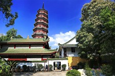 广元广州自由行(广州 自由行)