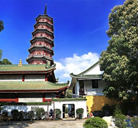 广元广州自由行(广州 自由行)