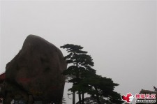 广元上海伴游私家陪游雇用女模(上海伴游私家陪游雇用女模特)
