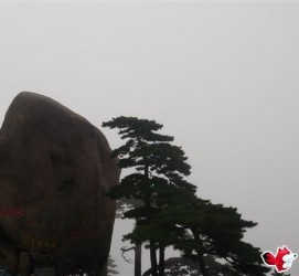 广元上海伴游私家陪游雇用女模(上海伴游私家陪游雇用女模特)
