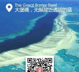 广元中国250家旅行社结伴游新西兰(新西兰当地旅行社)