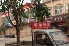 广元上海伴游 用伴游造句大全(5