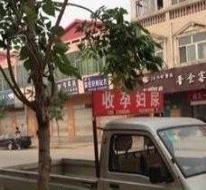 广元上海伴游 用伴游造句大全(5