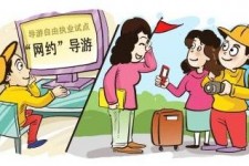 广元伴游是什么