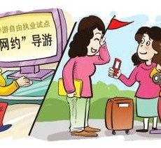 广元伴游是什么
