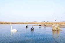 广元南昌附近伴游小妹兼职(1534939978姐的微信德惠市)