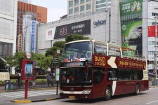 广元上海私人伴游 上海过年怎么玩？这些“微游”线路了解下→