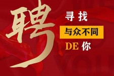 广元商务伴游招聘 重庆星级酒店诚招司机服务员夜场保安