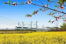 广元高铁游(高铁游戏下载手机版)