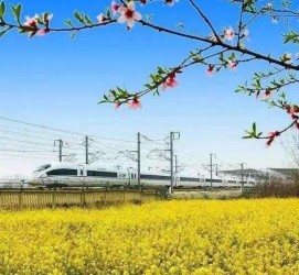 广元高铁游(高铁游戏下载手机版)