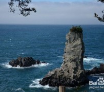 广元旅游全攻略(上海旅游全攻略)