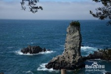 广元旅游全攻略(上海旅游全攻略)