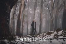 广元上海私人伴游 上海伴游，上海兼职伴游安全吗