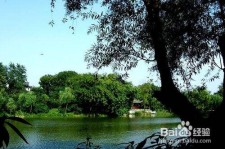 广元西湖旅游攻略(上海到杭州西湖旅游攻略)