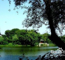 广元西湖旅游攻略(上海到杭州西湖旅游攻略)