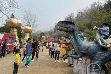 广元中国伴游带你打卡网红南山竹海(南山竹海网上预约)