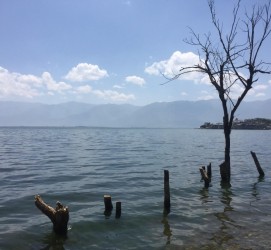 广元洱海旅游攻略(洱海旅游攻略自由行)