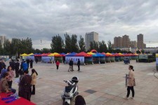 广元通辽伴游雇用(哈尔滨伴游雇用)