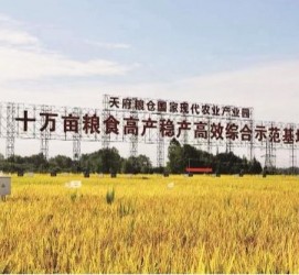 广元关于成都商务伴游外围雇用的信息