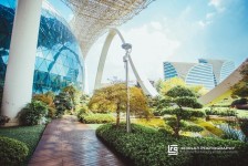 广元杭州外围伴游雇用(杭州外围雇用经纪人)