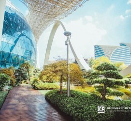 广元杭州外围伴游雇用(杭州外围雇用经纪人)