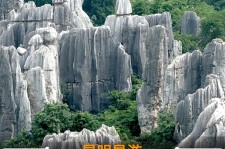 广元贵阳市游览社英语伴游雇用(贵阳市前十名游览社是哪几家)