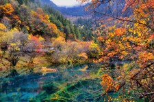 广元四川旅游攻略(四川旅游攻略十五日游)