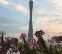 广元广州旅游攻略(杭州到广州旅游攻略)