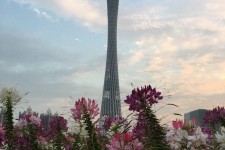 广元广州旅游攻略(杭州到广州旅游攻略)