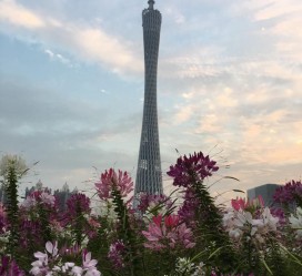 广元广州旅游攻略(杭州到广州旅游攻略)