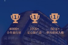 广元上海私人伴游 ​ “小而美”的新时代：2020年国内新跟团消费报告