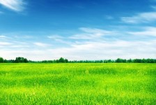 广元上海伴游 上海模特伴游微信号的交友宣言