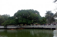 广元福州旅游攻略(福州旅游攻略二日游)