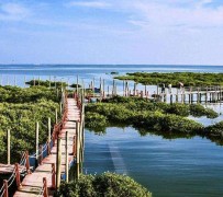 广元旅游哪里好玩(云南旅游哪里好玩)