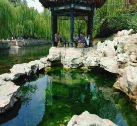 广元济南旅游攻略(青岛威海济南旅游攻略)