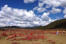 广元旅游去处(暑期最好的旅游去处)