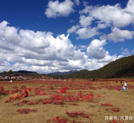 广元旅游去处(暑期最好的旅游去处)