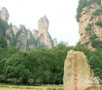广元自驾旅游攻略(自驾旅游攻略app排行榜)