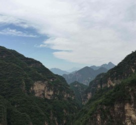 广元伴游中国伴游城(伴游网上海)